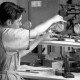 De la culture du roseau à la fabrication d'une anche